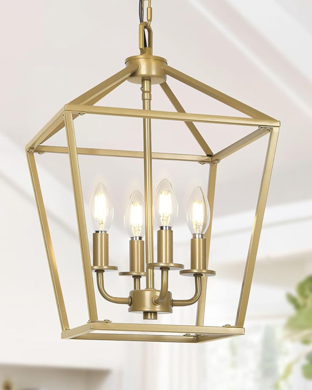 Landon Vintage Birdcage Pendant Light