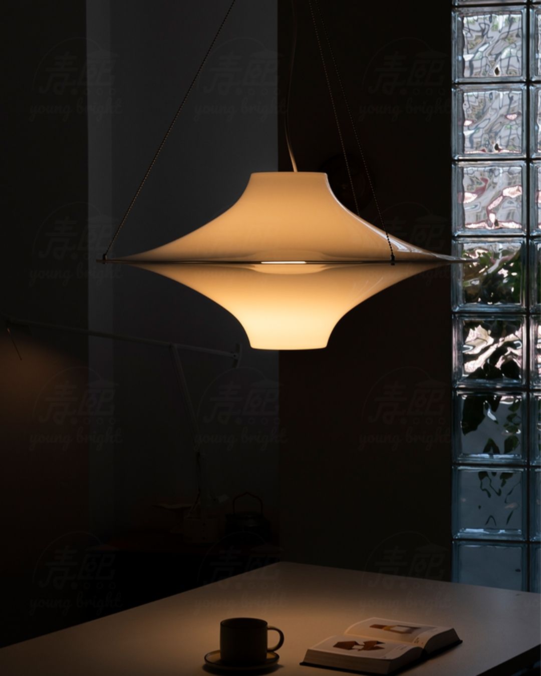 Lokki Seagull Pendant Light