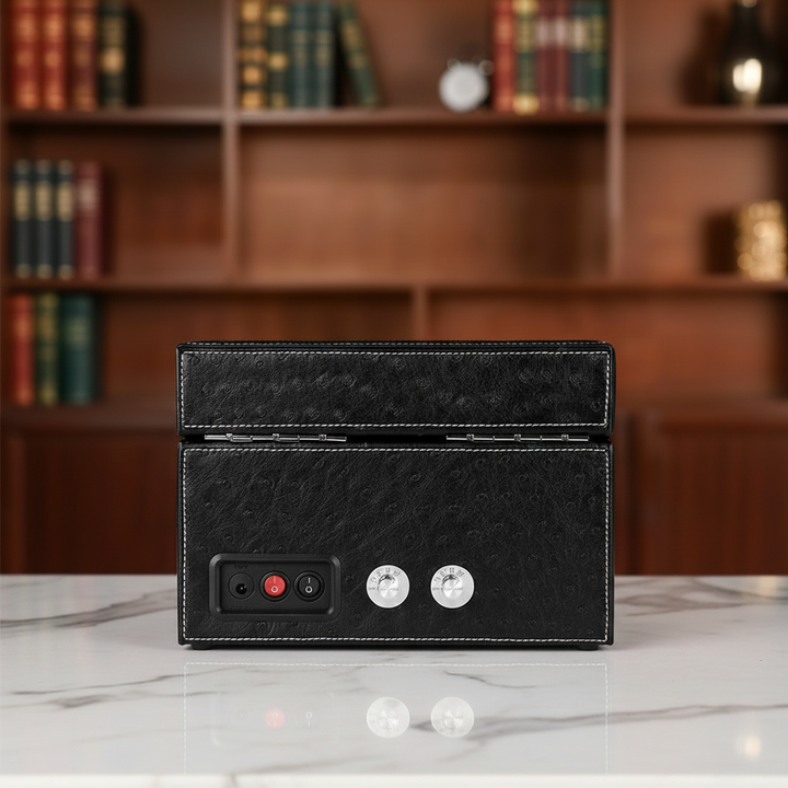 Drik Multi‑Position Watch Winder Box